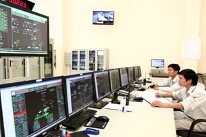 Dong Nai hydropower company (Photo: VNA)